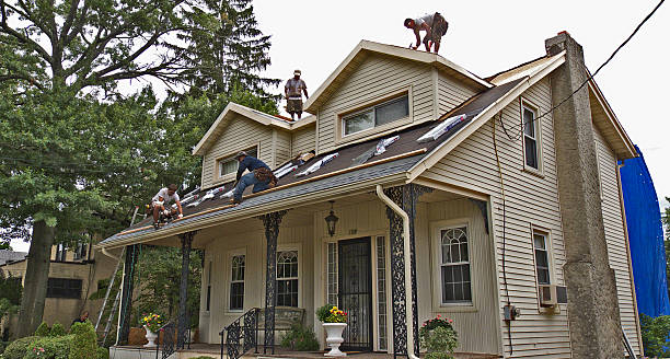 Best Gutter Installation and Roofing  in St Ann, MO